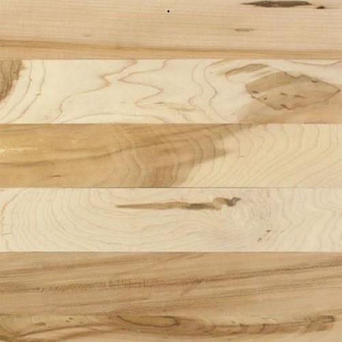 Room Scene of Unfinished Maple Engineered - Hardwood by Somerset