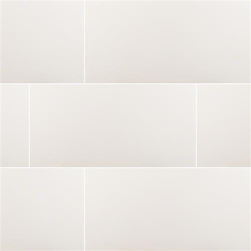 Room Scene of Domino - Tile by MSI Stone
