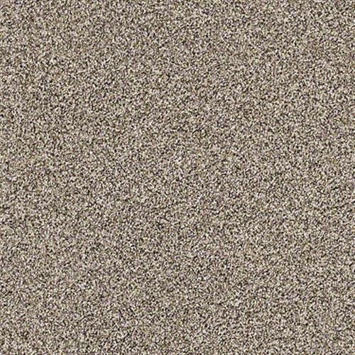 CARMEL COAST - Dry Dock - Carpet - 00755_ZZ046 by Shaw ...