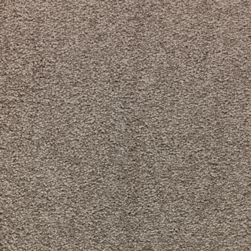 Delicate Enchantment - Rocky Bluff - Carpet - 3A08-533 by ...