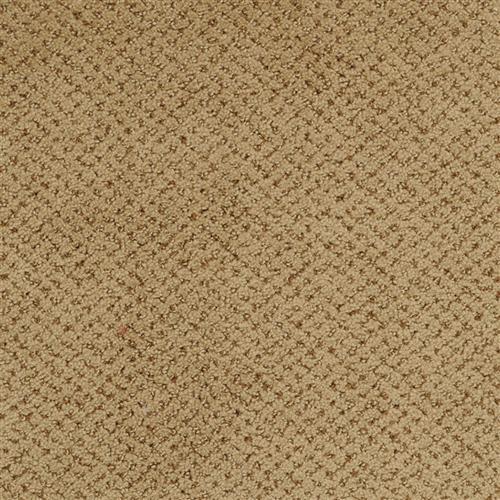 Room Scene of Montauk - Carpet by Masland Carpets