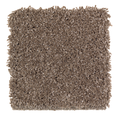 Pleasing Nature in Tweed - Carpet by Mohawk Flooring