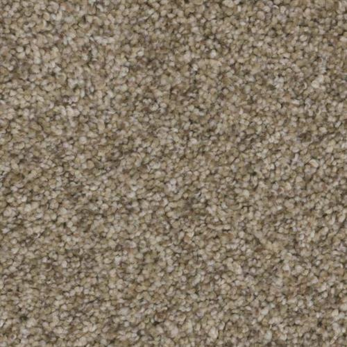 Room Scene of Santa Monica Blvd - Carpet by Phenix Flooring