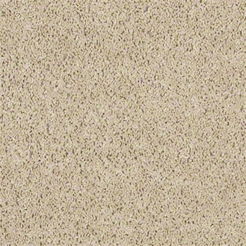 Fusion Value 300 - Sand Dollar - Carpet - 00202_E0281 by ...