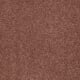 Timeless Appeal I 12' in English Toffee - Carpet by Shaw Flooring