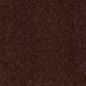 Timeless Appeal I 12' in Coffee Bean - Carpet by Shaw Flooring