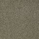 Timeless Appeal I 12' in Alpine Fern - Carpet by Shaw Flooring