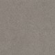 Sandy Hollow Classic I 12' in Silver Charm - Carpet by Shaw Flooring
