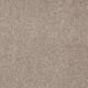 Timeless Appeal I 12' in Chinchilla - Carpet by Shaw Flooring