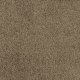 Miami in Woodacres - Carpet by Masland Carpets