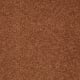 Timeless Appeal I 12' in Dark Amber - Carpet by Shaw Flooring