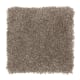 Delightful Cheer in Twig - Carpet by Mohawk Flooring