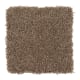 Delightful Cheer in Safari - Carpet by Mohawk Flooring