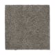 Calming Promise in Dorian - Carpet by Mohawk Flooring