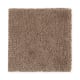 Solo in Warm Earth - Carpet by Mohawk Flooring