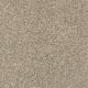Serenade in Pashmina - Carpet by Shaw Flooring