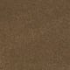 Quiet Comfort IV in Southern Andes - Carpet by Shaw Flooring