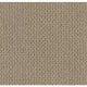 Crafted in Latte - Carpet by Shaw Flooring