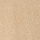 Soft Eloquence in Graceful - Carpet by Mohawk Flooring