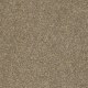 Bright Idea II in Safari - Carpet by Shaw Flooring