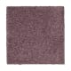 Pure Comfort in Winter Amethyst - Carpet by Mohawk Flooring