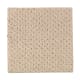 Natural Fascination in Sand Dollar - Carpet by Mohawk Flooring