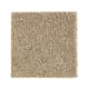 Native Allure I in Hearth Beige - Carpet by Mohawk Flooring