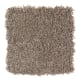 Pleasing Nature in Ashwood - Carpet by Mohawk Flooring