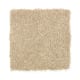 Beautiful Desire II in Autumn Glow - Carpet by Mohawk Flooring