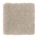 Homefront I Abac Weldlok 15 Ft 00 In in Cappuccino - Carpet by Mohawk Flooring