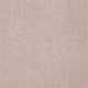 Platinum Texture 12' Net in Daydream - Carpet by Shaw Flooring
