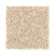 High Hand in Desert Villa - Carpet by Mohawk Flooring