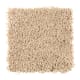 Heavenly Harbour in Chai Tea - Carpet by Mohawk Flooring