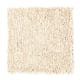 Playful Nature in Dewdrop - Carpet by Mohawk Flooring