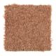 Sassy Arrangement in Sweet Potato - Carpet by Mohawk Flooring