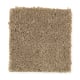 American Legacy in Toasted Bagel - Carpet by Mohawk Flooring