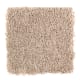 Waterview in Biscotti - Carpet by Mohawk Flooring