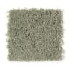 Creative Charm in Botanical - Carpet by Mohawk Flooring