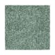 Noble Fascination in Aloe - Carpet by Mohawk Flooring