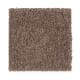 Eternal Allure I in Warm Earth - Carpet by Mohawk Flooring