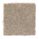Easy Option in Brushed Suede - Carpet by Mohawk Flooring