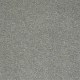Platinum Texture 12' Net in Tory Island - Carpet by Shaw Flooring