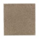 Natural Splendor II in Urban Taupe - Carpet by Mohawk Flooring