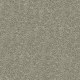 Awaited Bliss in Floating Lily - Carpet by Mohawk Flooring