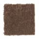 Common Values I in Deep Sable - Carpet by Mohawk Flooring