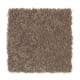 Common Values II in Instant Mocha - Carpet by Mohawk Flooring