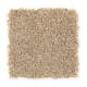Brilliant Design in Chamomile - Carpet by Mohawk Flooring