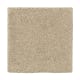 Organic Beauty I in Raffia Basket - Carpet by Mohawk Flooring
