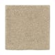 Organic Beauty I in Raffia Basket - Carpet by Mohawk Flooring