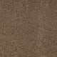 Sandy Hollow I 12' in Pine Cone - Carpet by Shaw Flooring